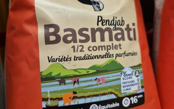 Riz bio bessines