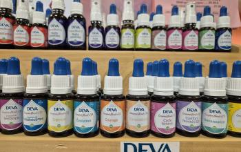 Elixirs floraux bessines